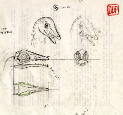 Drawing of birds head