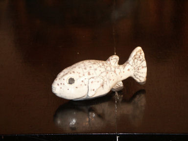 blowfish - kuglefisk